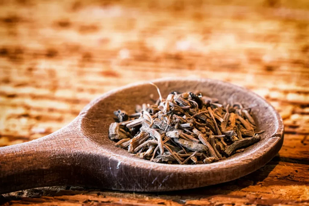 Dried valerian root on a wooden spoon. 