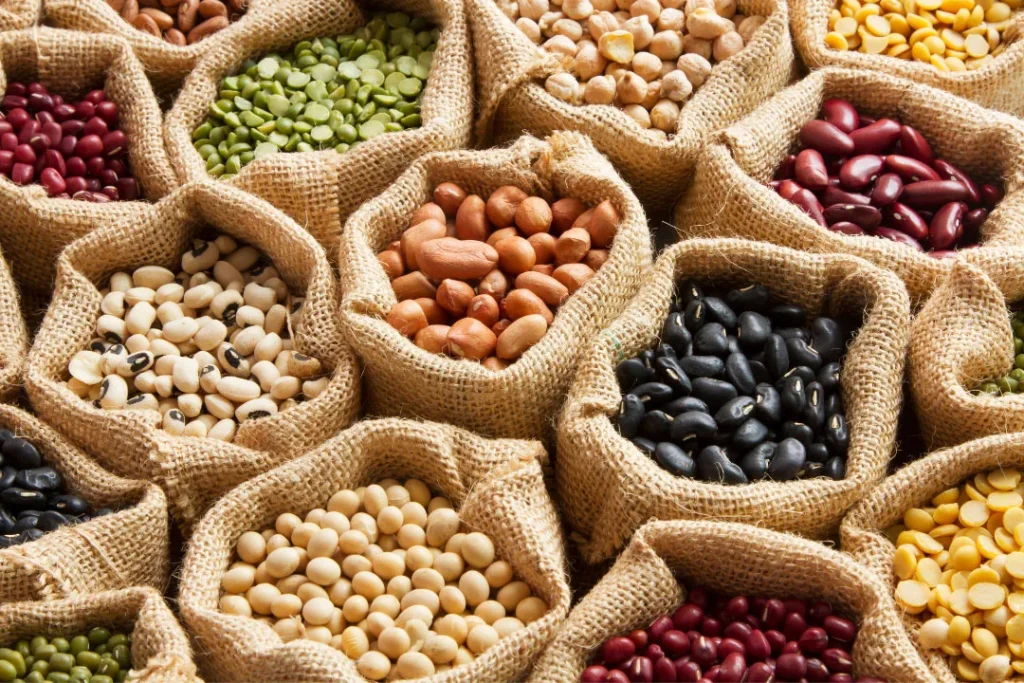 Beans are rich in protein. 