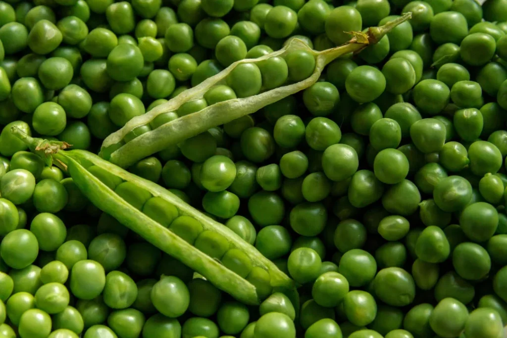 Peas are rich in protein. 